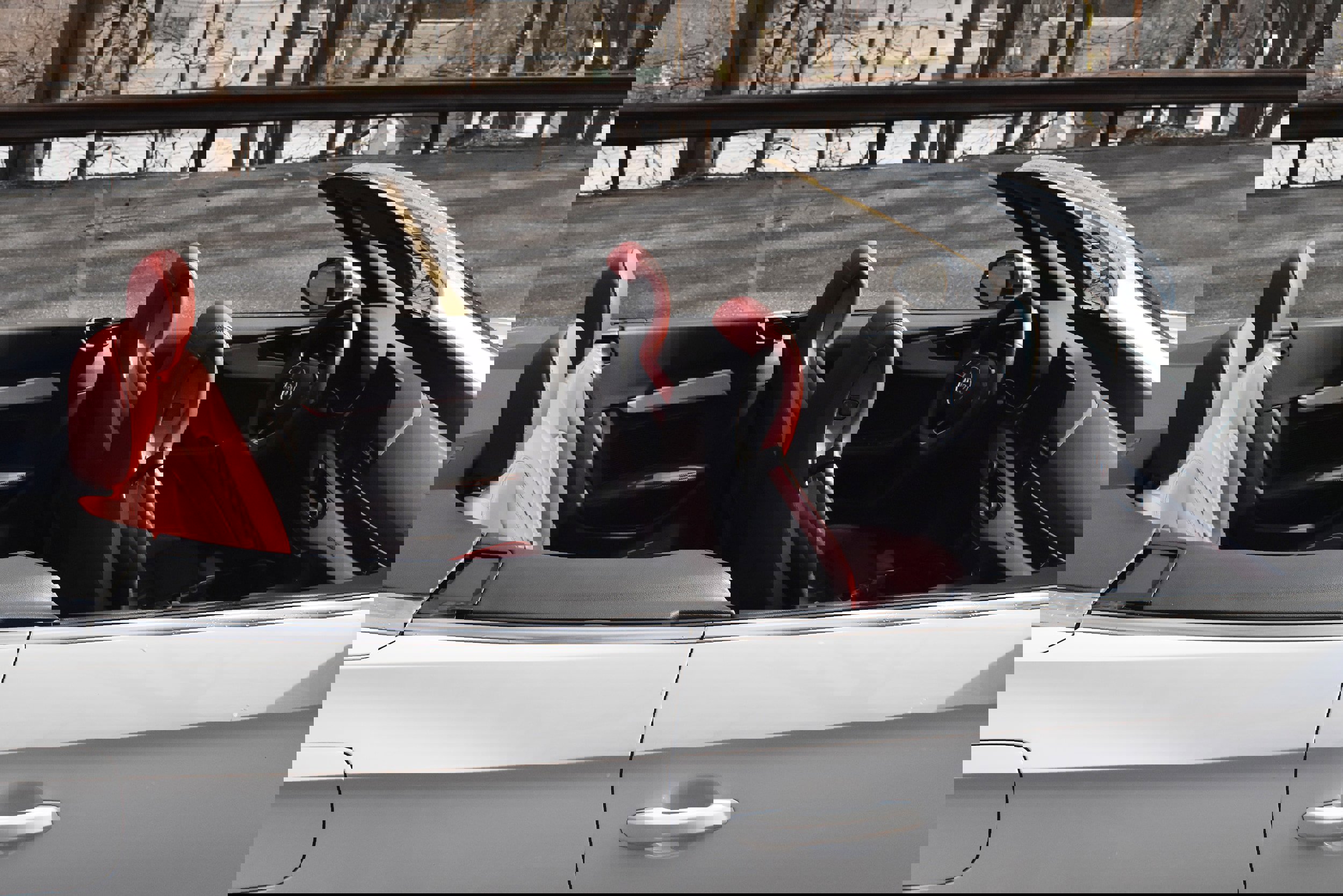 Used 2020 Audi S5 Premium Plus w/ Premium Plus image 19