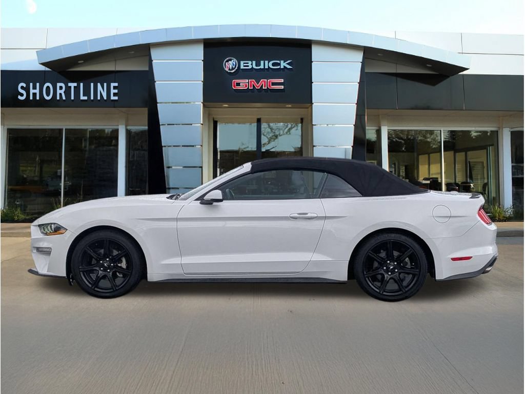 Used 2019 Ford Mustang Premium w/ Equipment Group 201A RWD image 6