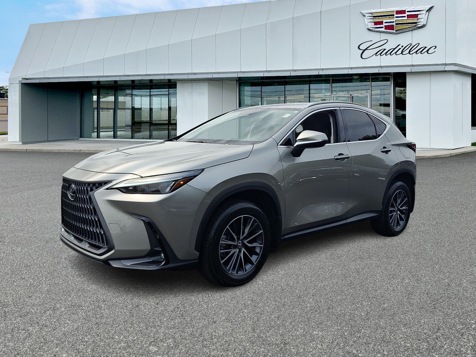 Used 2024 Lexus NX 350 AWD w/ Cold Area Package image 3