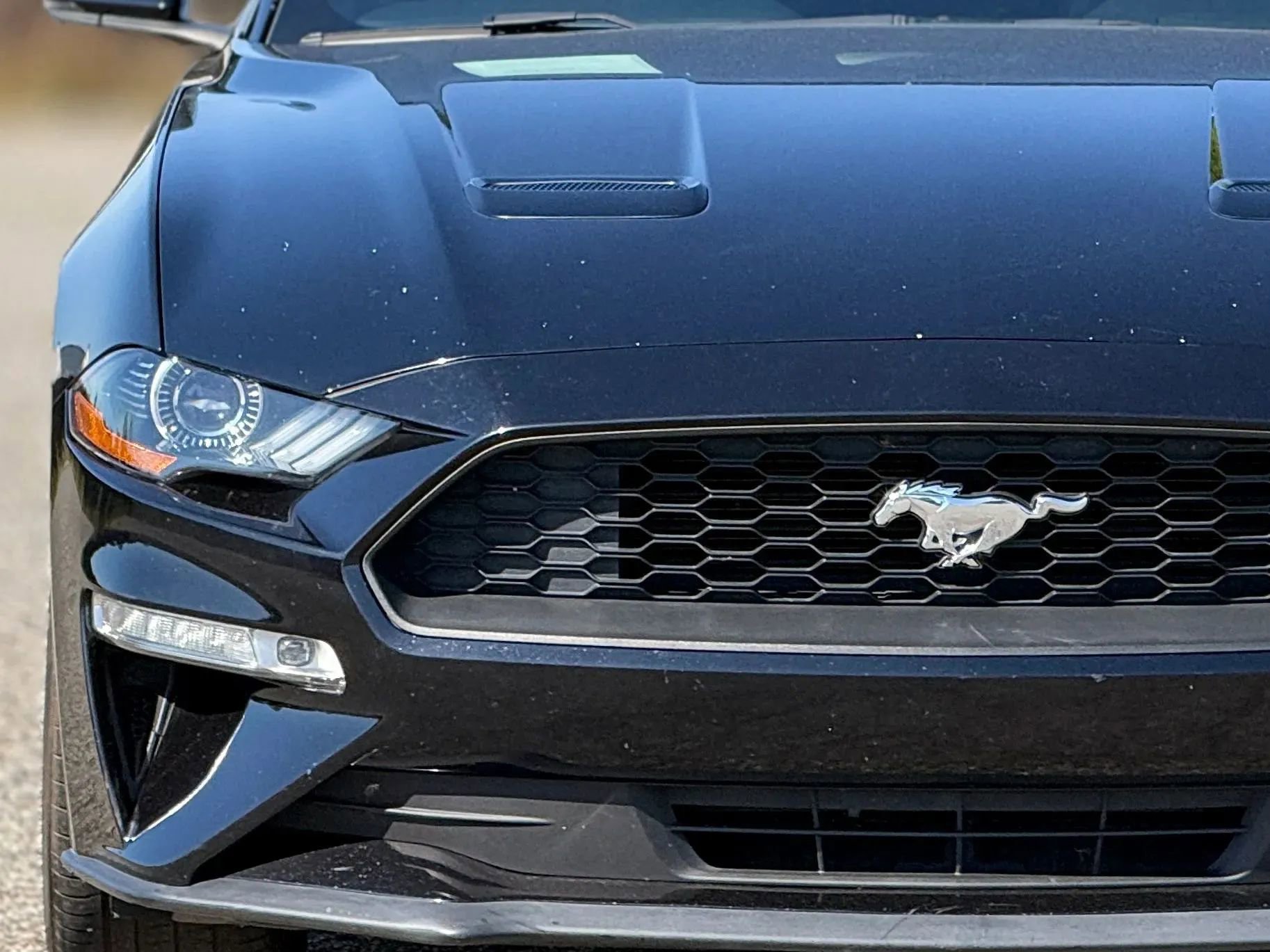 Used 2018 Ford Mustang Premium RWD image 11