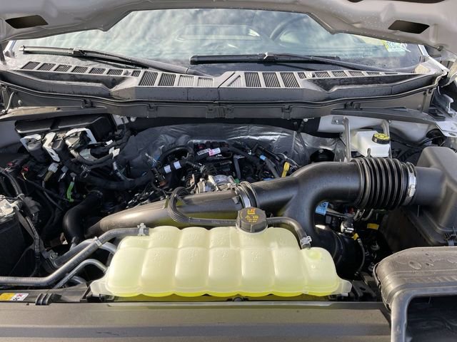 New 2026 Ford F150 XLT w/ Equipment Group 303A High image 12