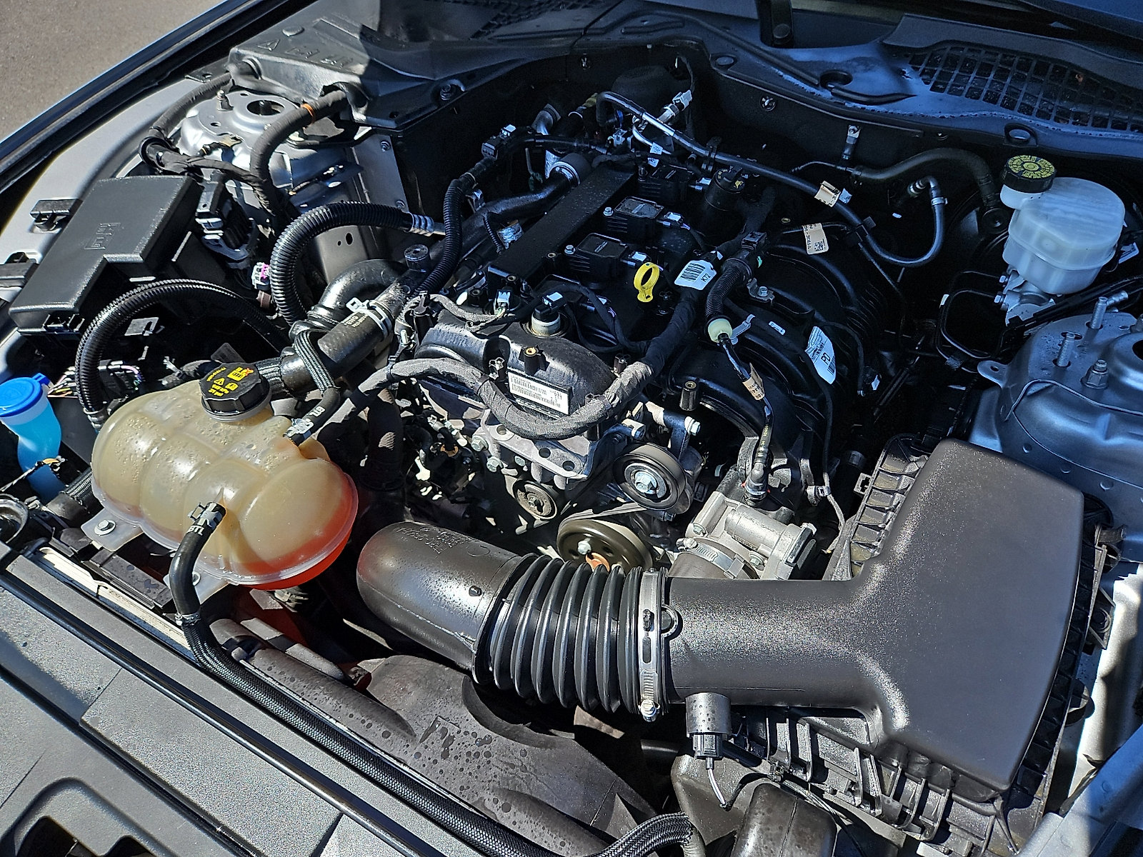 Used 2021 Ford Mustang Coupe w/ Equipment Group 101A image 28