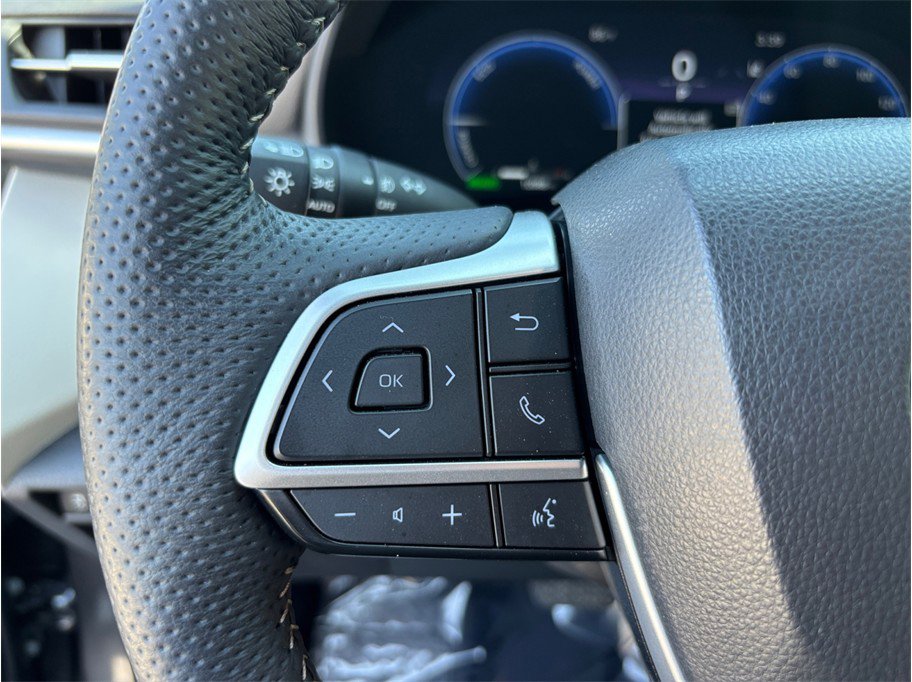 Used 2025 Toyota Sienna Platinum AWD/4WD image 30