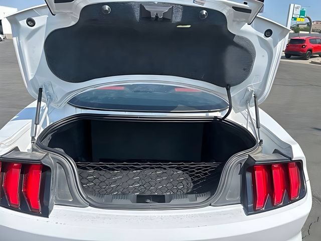 Used 2018 Ford Mustang Premium w/ Equipment Group 201A RWD image 13