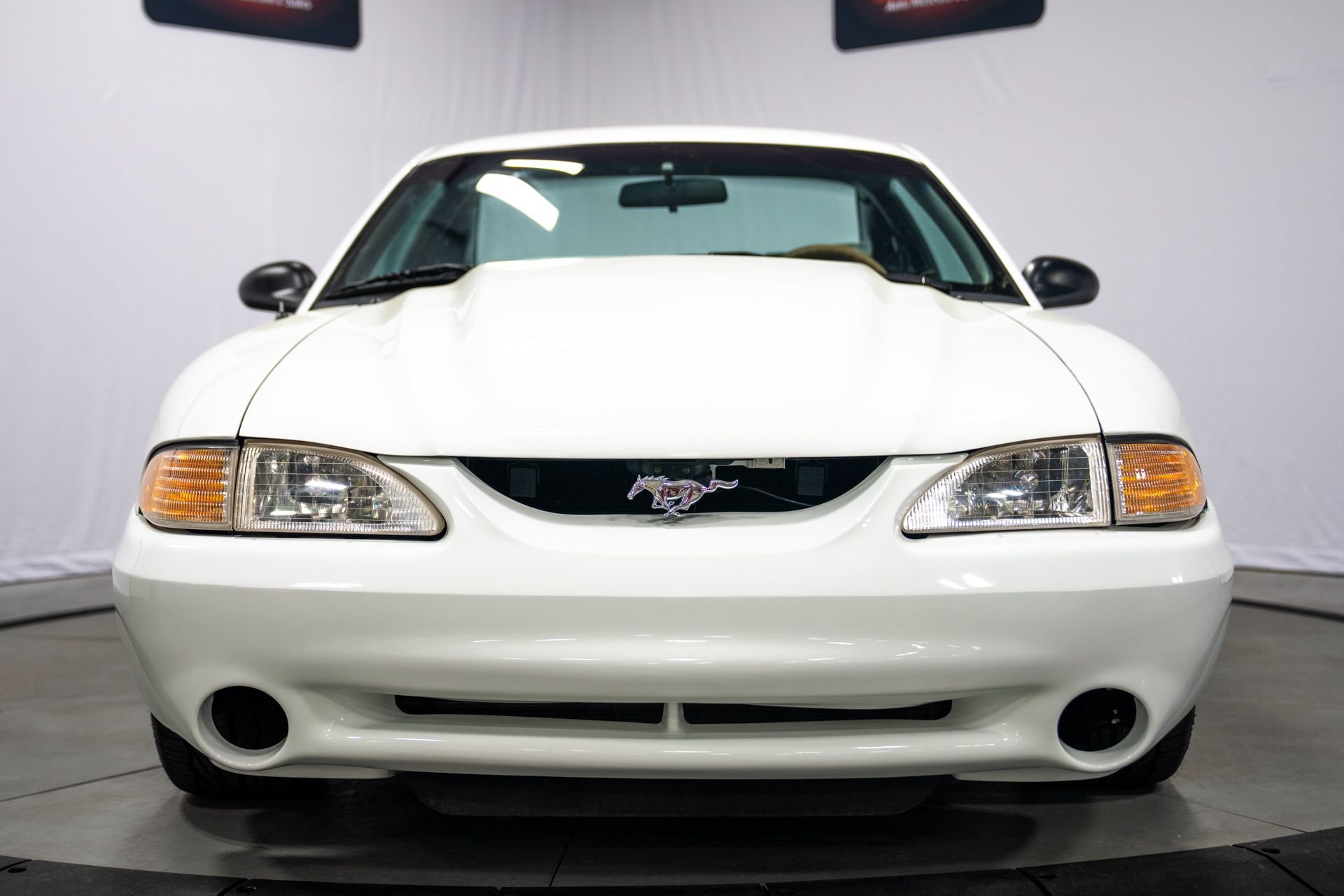 Used 1995 Ford Mustang Cobra R RWD image 3