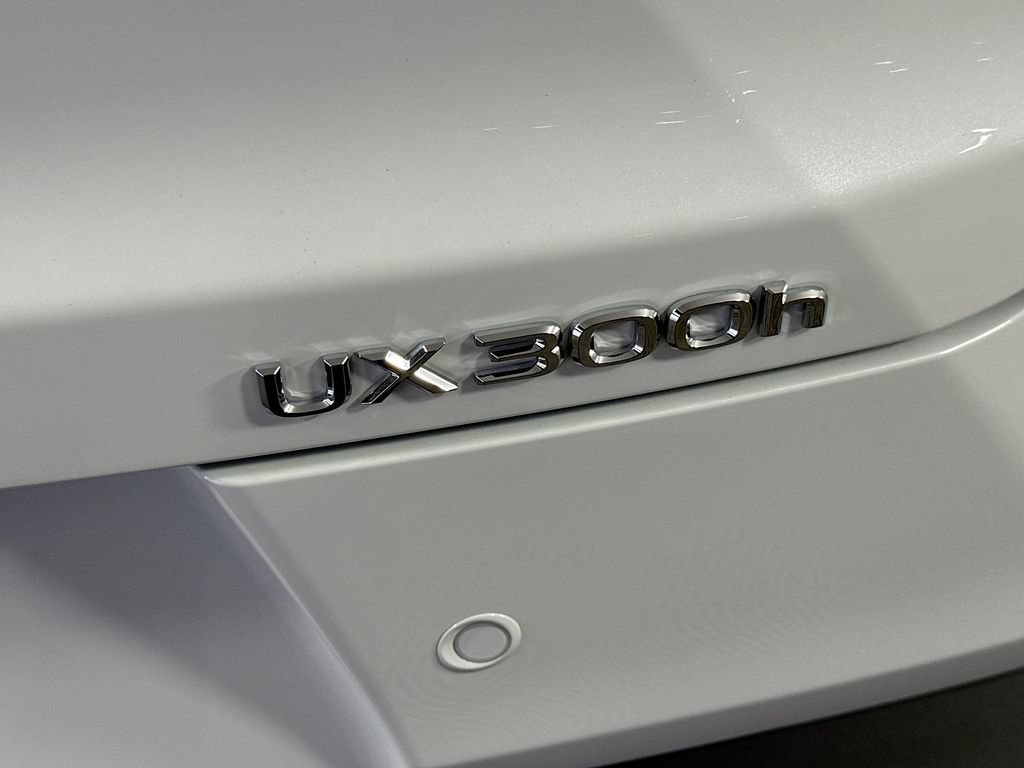 New 2026 Lexus UX 300h FWD image 22