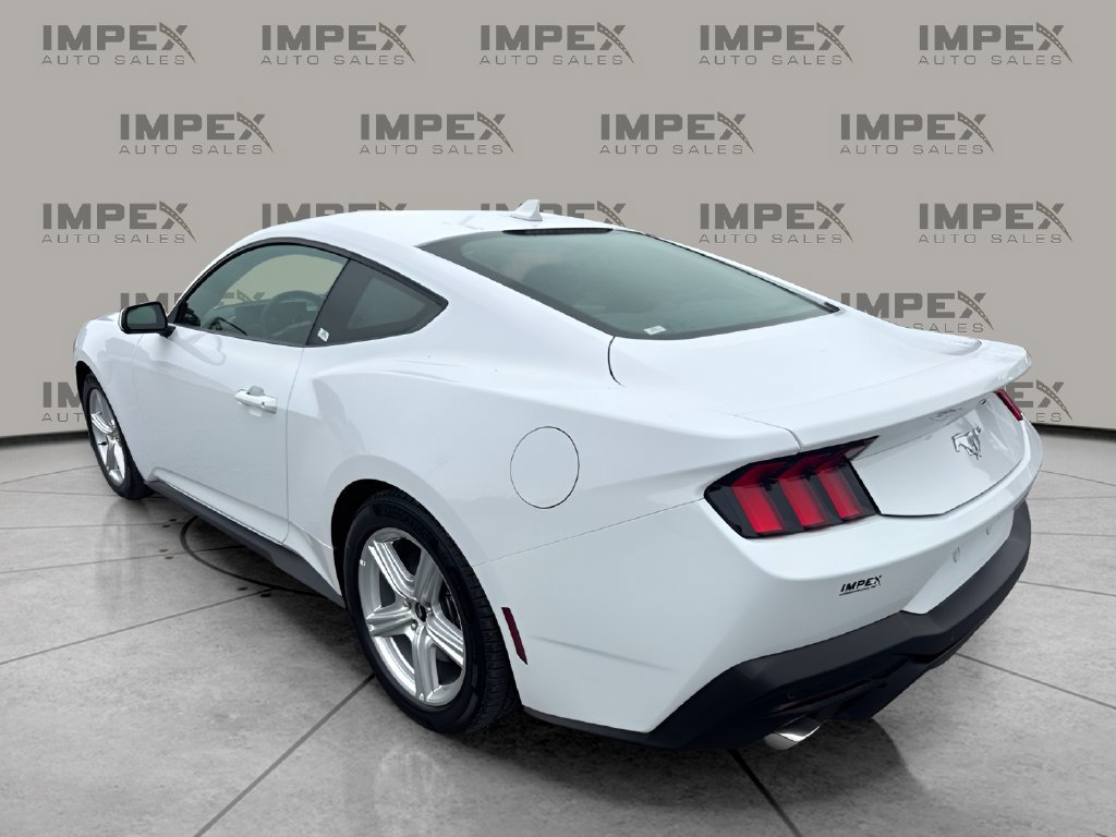 Used 2026 Ford Mustang Coupe RWD image 3