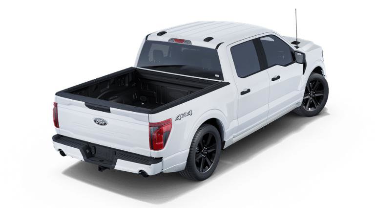 New 2025 Ford F150 STX w/ LOBO Package image 25