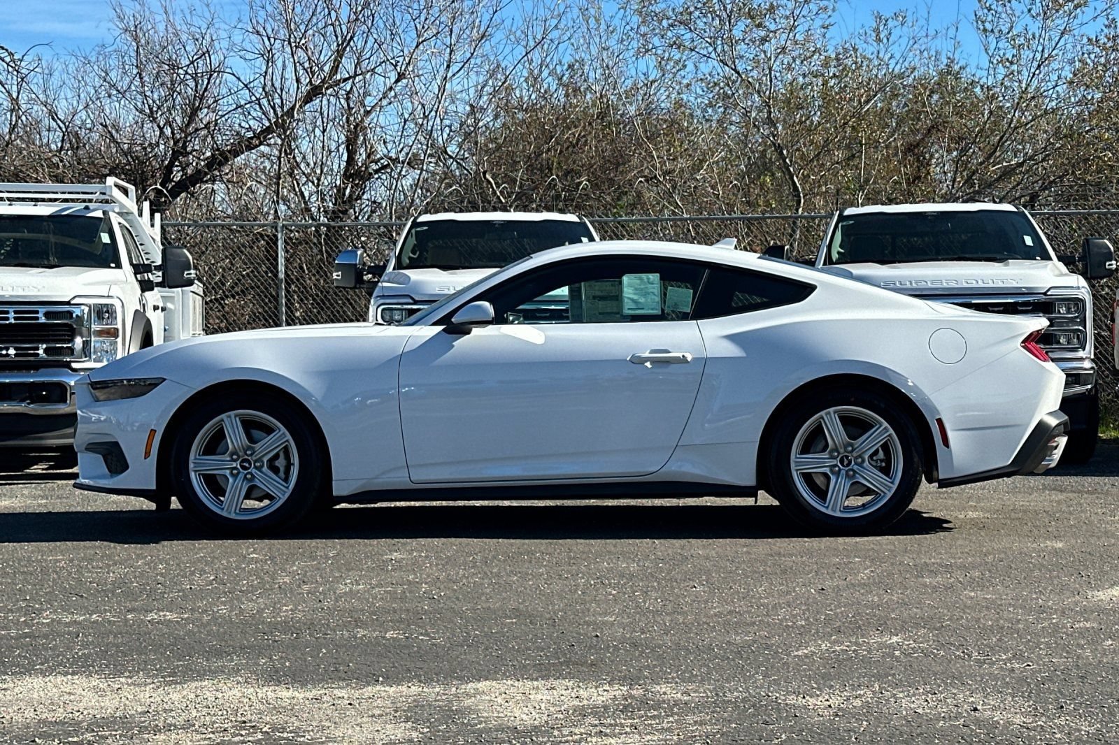 New 2026 Ford Mustang Coupe RWD image 6