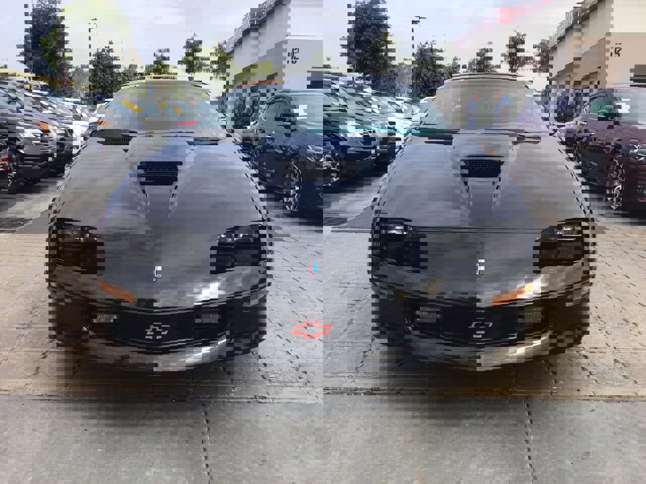 Used 1996 Chevrolet Camaro Z28 image 2