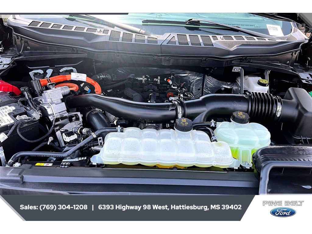 Used 2025 Ford F150 XLT w/ Equipment Group 302A MID AWD/4WD image 8