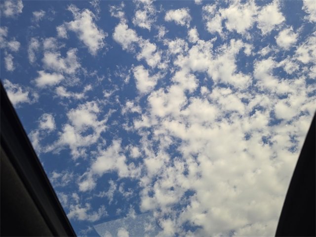 New 2026 Hyundai Palisade XRT Pro image 21