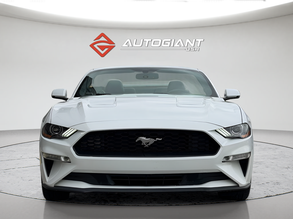 Used 2019 Ford Mustang Premium RWD image 3