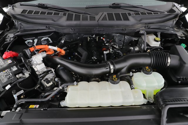 Used 2025 Ford F150 XLT w/ Equipment Group 301A Standard image 21