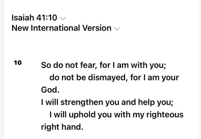 Used 2019 Land Rover Discovery Sport SE AWD/4WD image 33