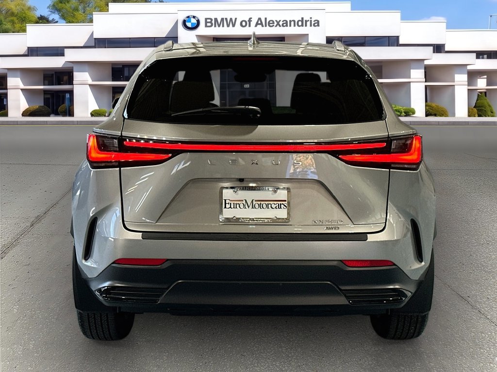 Used 2024 Lexus NX 350 AWD w/ Cold Area Package image 6
