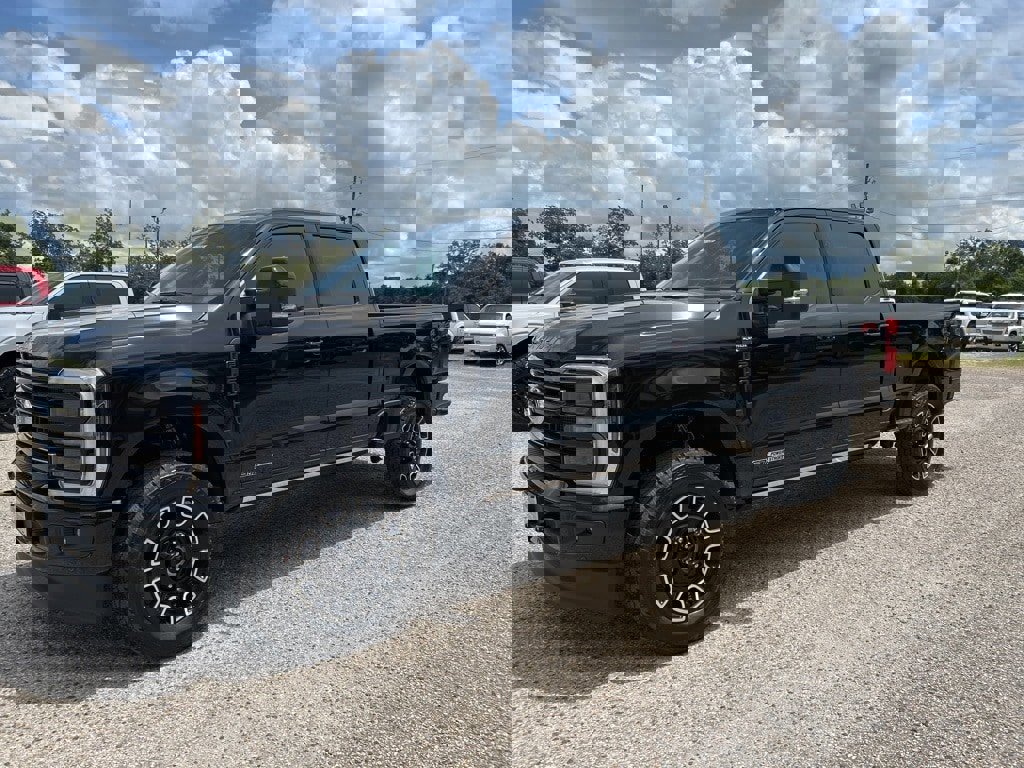 New 2025 Ford F250 Platinum image 4