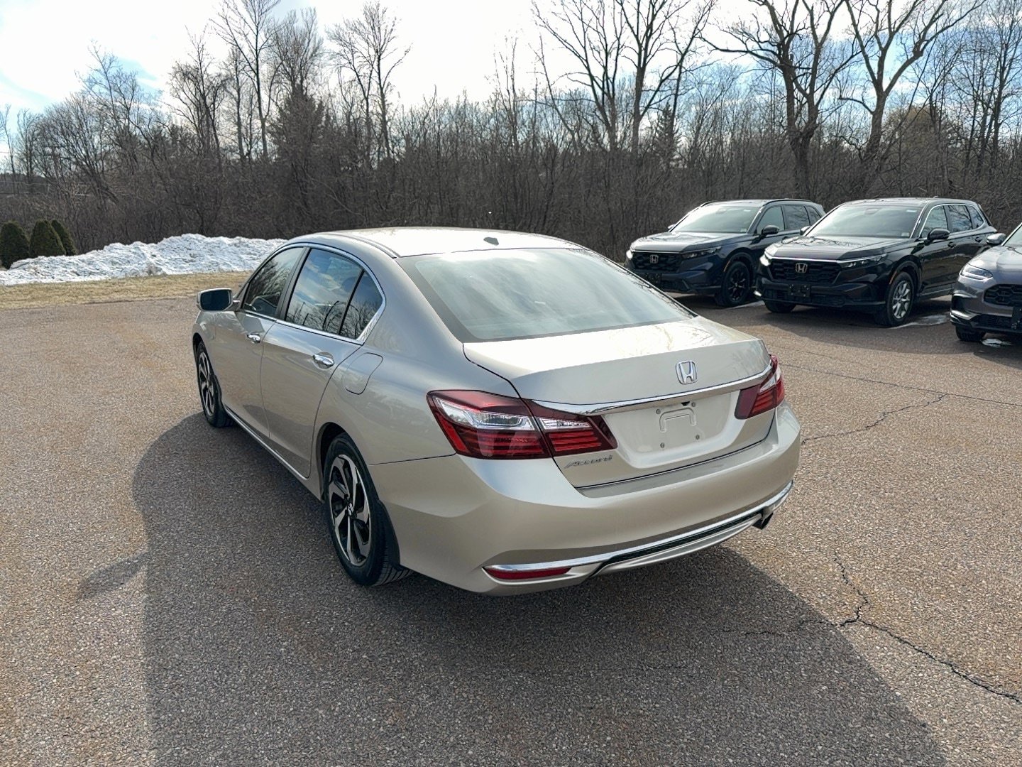 Certified 2017 Honda Accord EX-L image 6