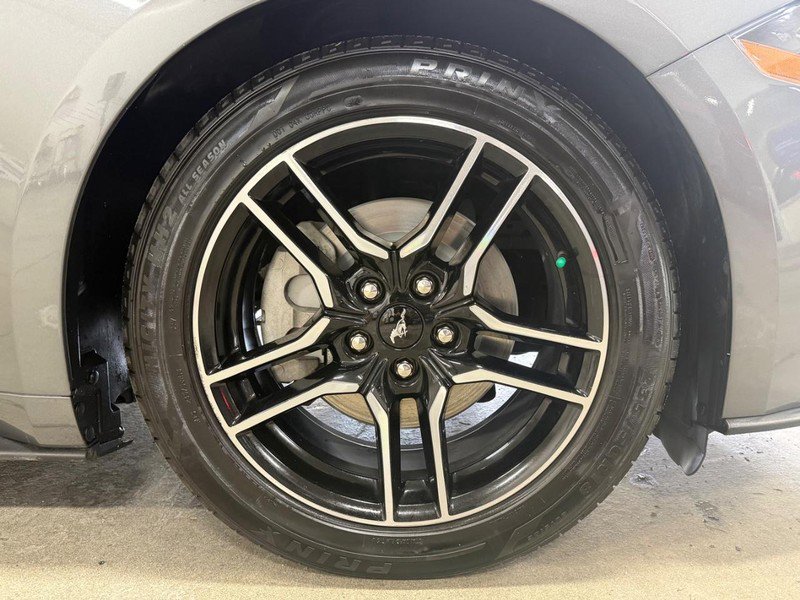 Certified 2021 Ford Mustang Premium image 13