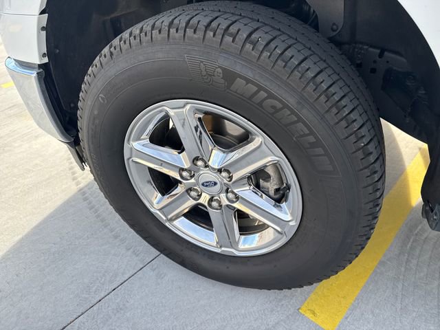 Used 2024 Ford F150 XLT w/ FX4 Off-Road Package image 18