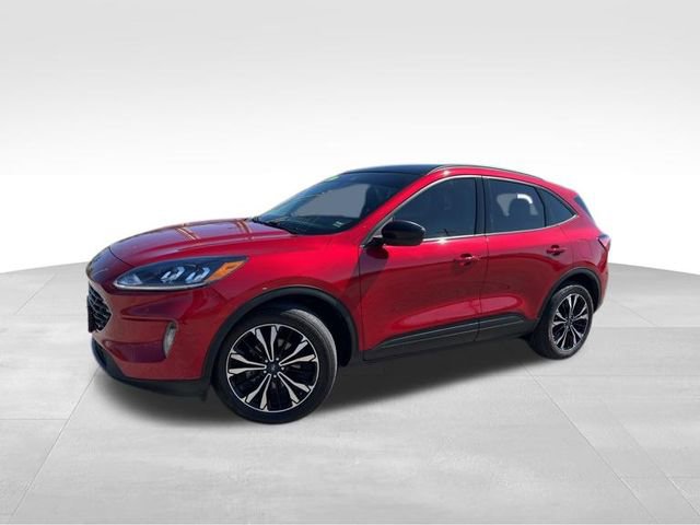 Used 2022 Ford Escape SEL w/ SEL Stealth AWD Package image 3