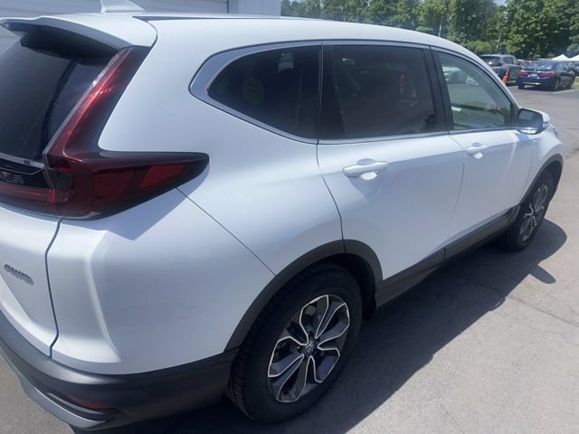 Used 2020 Honda CR-V EX-L image 6