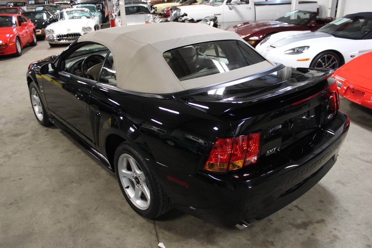 Used 1999 Ford Mustang Cobra RWD image 19