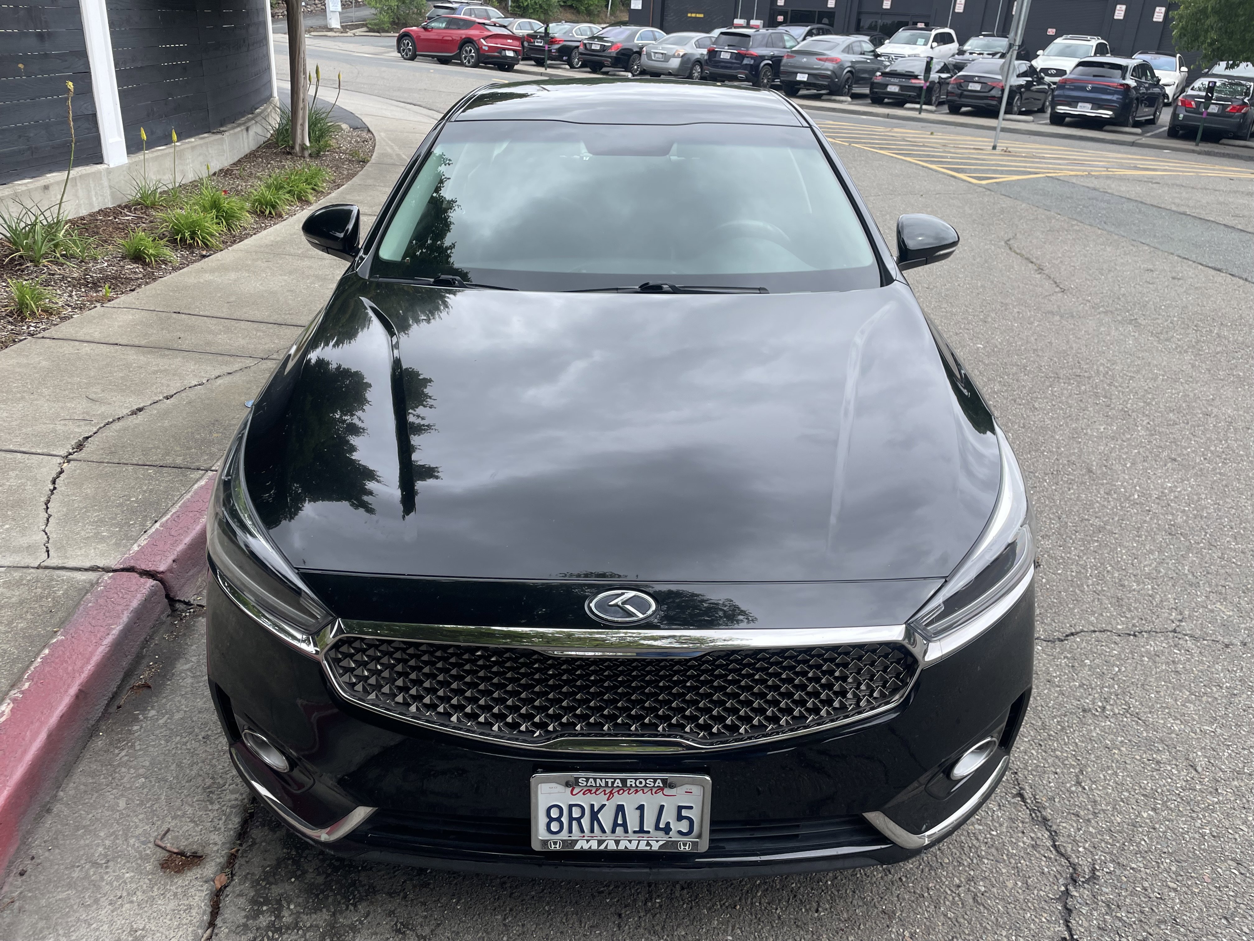 Used 2019 Kia Cadenza Premium image 13