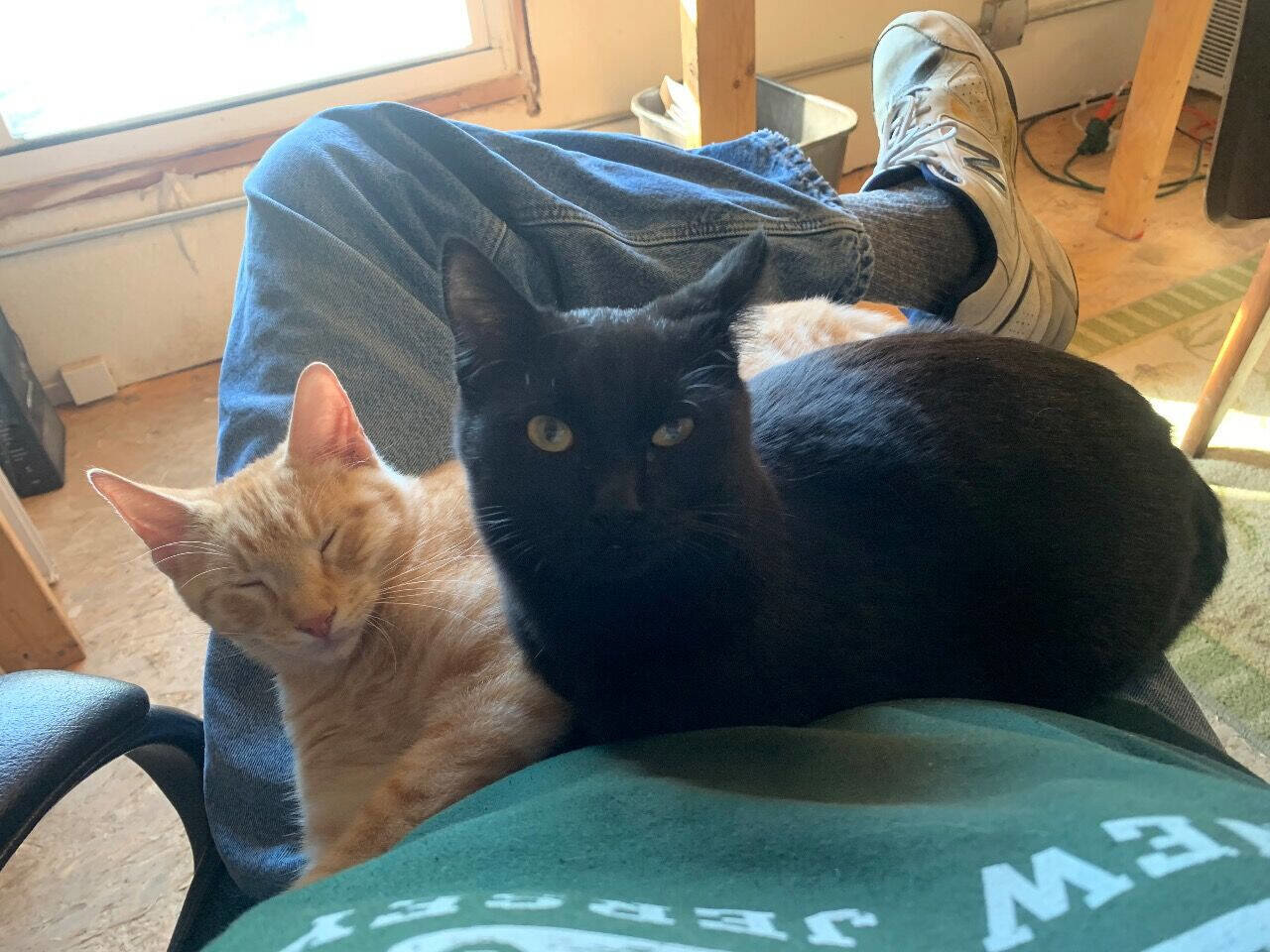 Used 2007 Hyundai Santa Fe SE image 23