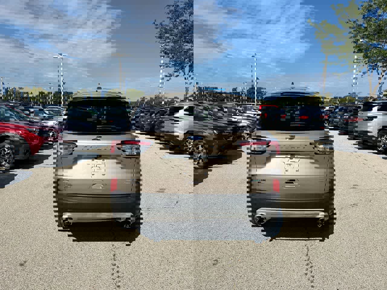 Used 2020 Ford Escape SE image 12