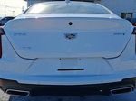 Used 2023 Cadillac CT4 Premium Luxury w/ Climate Package AWD/4WD image 7