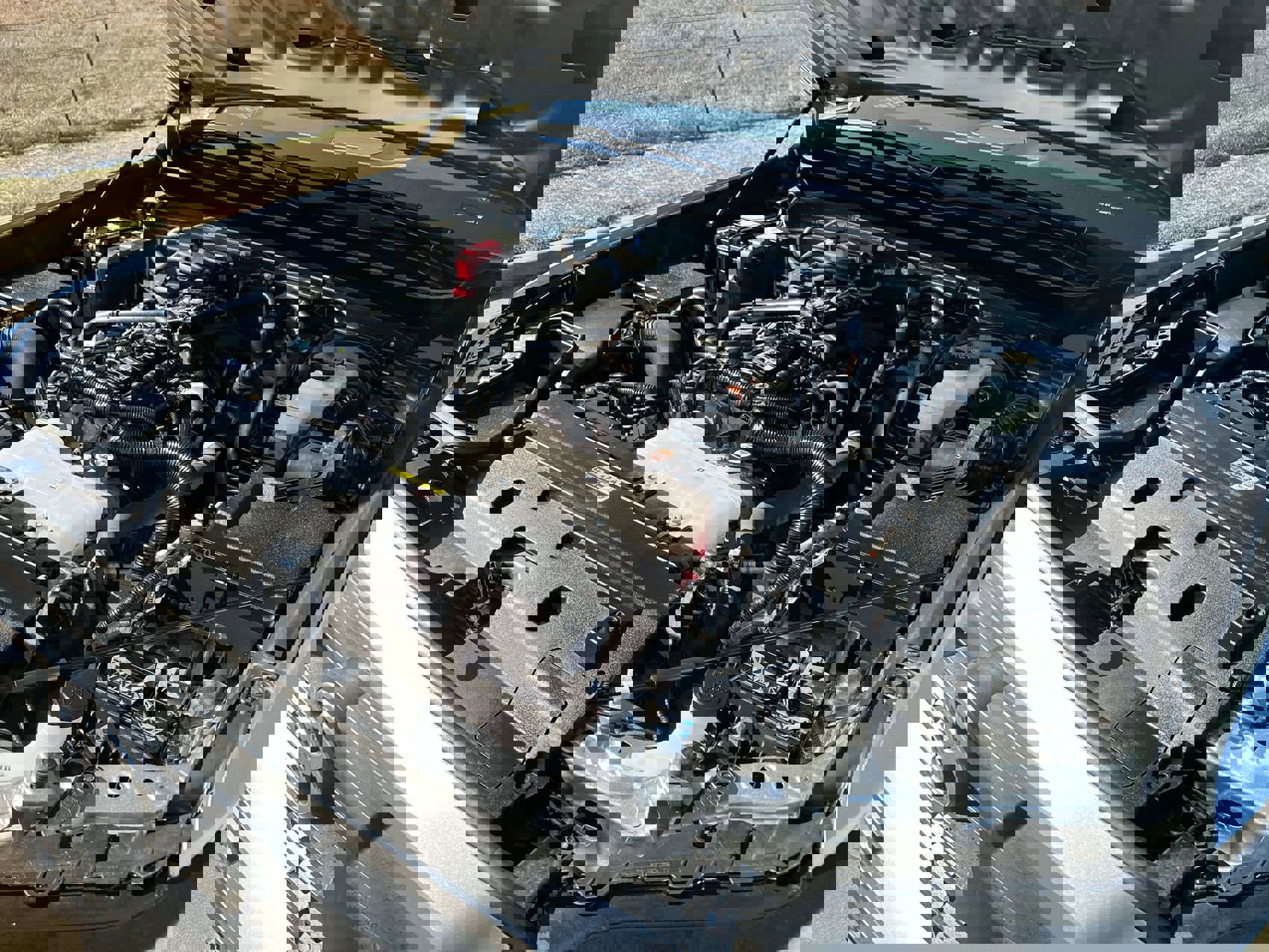 Used 2024 Toyota Tacoma TRD Sport image 24