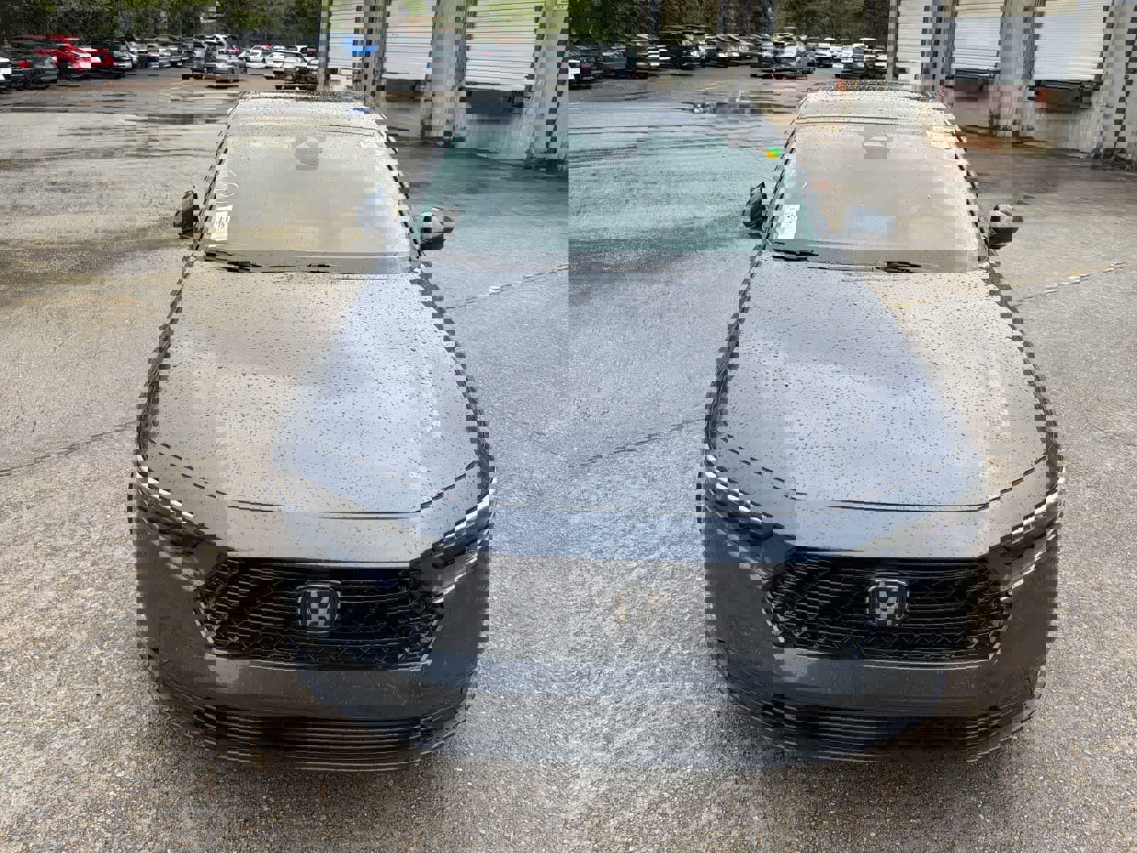 Used 2024 Honda Accord EX image 14