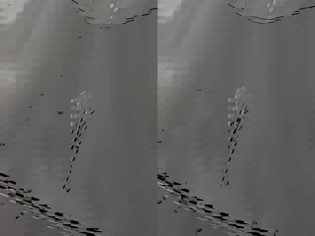 Used 2024 Chevrolet Corvette Stingray Coupe w/ 1LT image 7