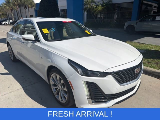 Used 2023 Cadillac CT5 Premium Luxury w/ Climate Package image 4