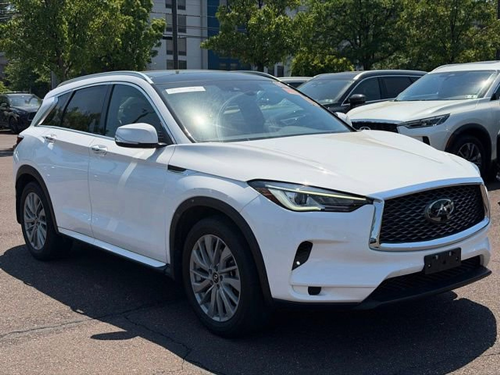 Used 2023 INFINITI QX50 Luxe w/ Cargo Package AWD/4WD image 1