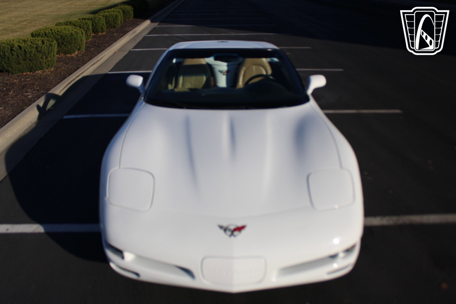 Used 1998 Chevrolet Corvette Convertible image 16