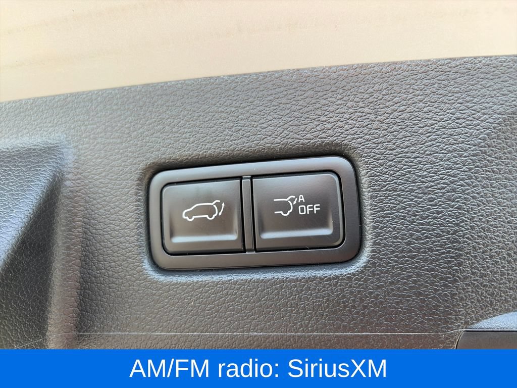 Used 2025 Kia Telluride SX Prestige X-Line AWD/4WD image 9