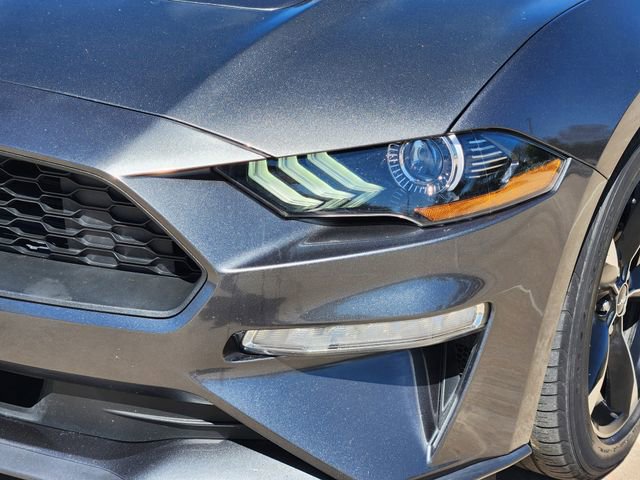 Used 2019 Ford Mustang EcoBoost image 9