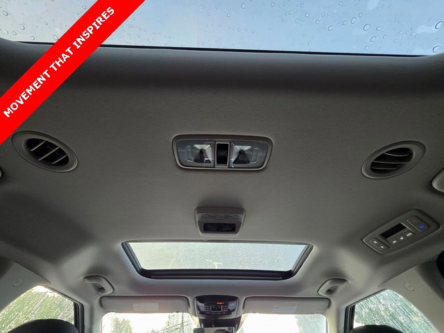 New 2026 Kia Carnival SX Prestige image 25