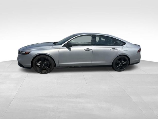Used 2025 Honda Accord Sport image 5