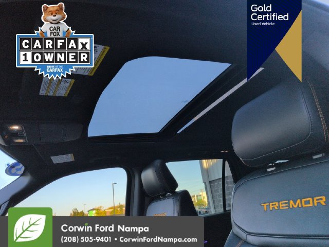 Used 2025 Ford Expedition Tremor AWD/4WD image 25