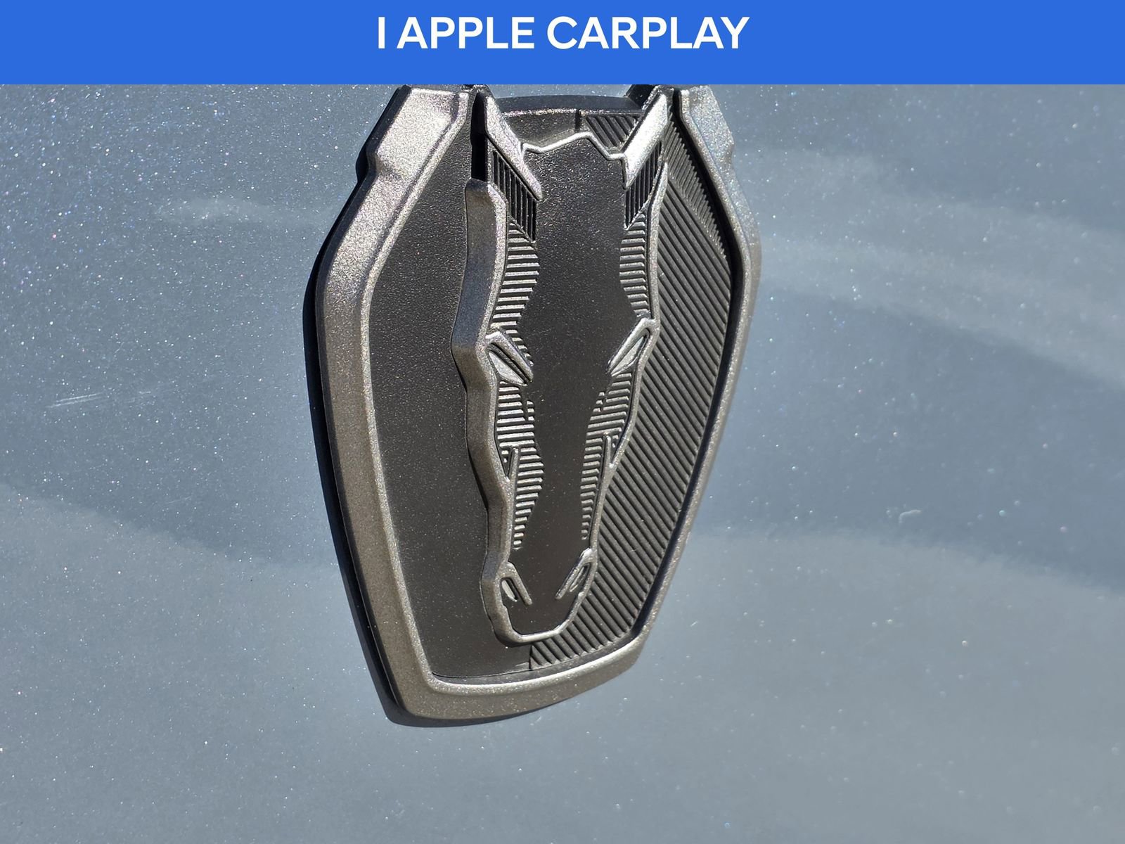 Used 2024 Ford Mustang Dark Horse image 12