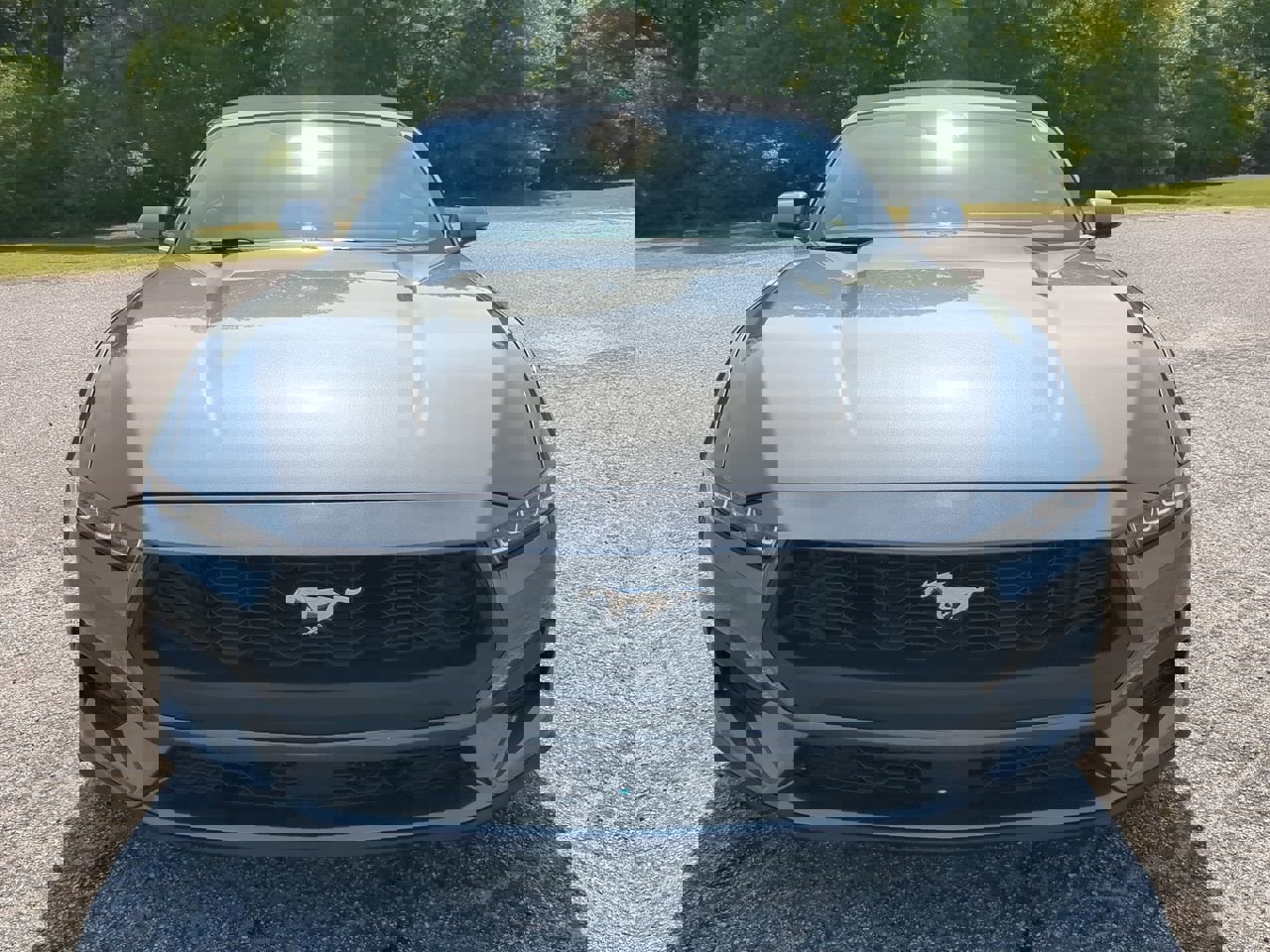 Certified 2024 Ford Mustang Premium image 7