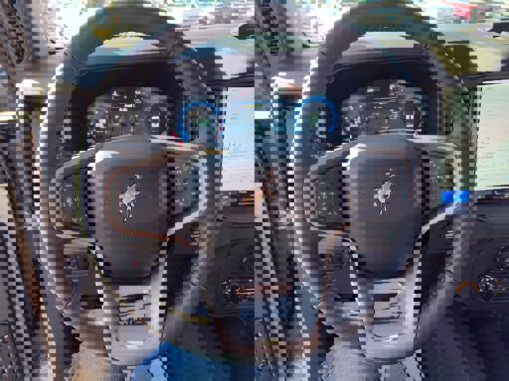 New 2025 Ford Bronco Badlands w/ Sasquatch Package image 14