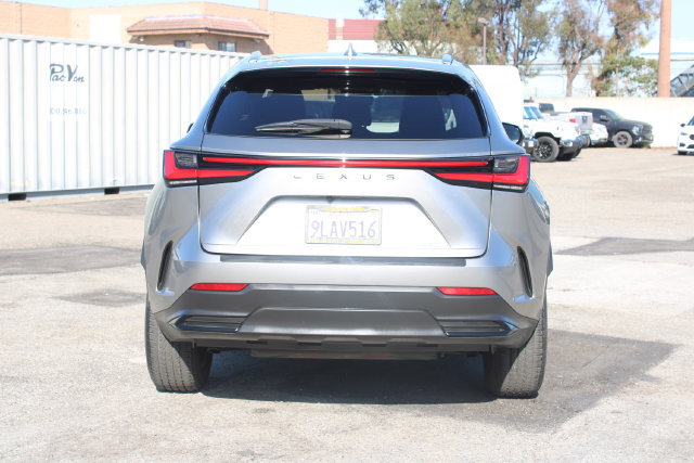 Used 2024 Lexus NX 350 AWD w/ Cold Area Package image 4