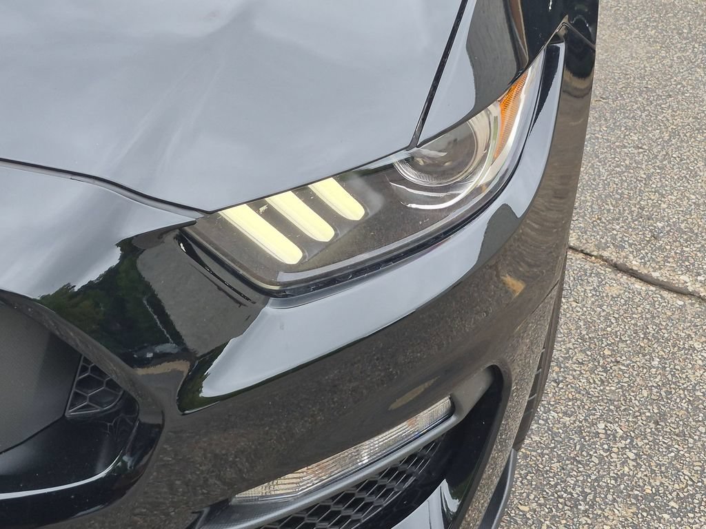 Used 2017 Ford Mustang Shelby GT350 RWD image 9