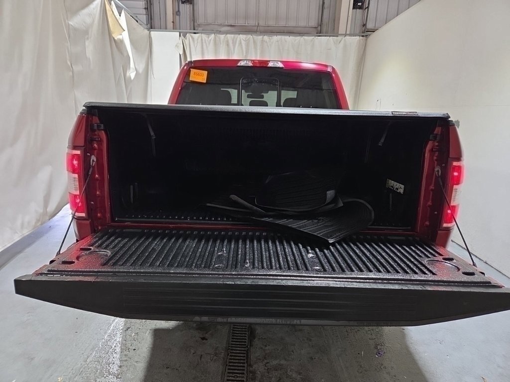 Used 2019 Ford F150 XLT w/ Equipment Group 302A Luxury image 5