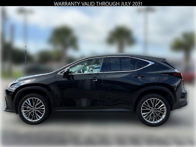 Certified 2025 Lexus NX 350 AWD w/ Premium Package image 5