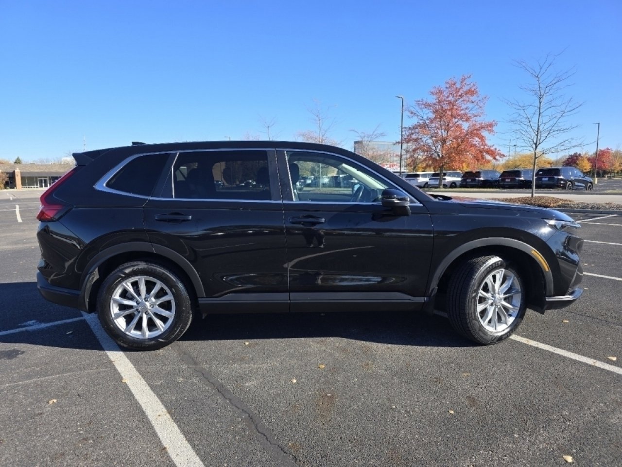 Certified 2024 Honda CR-V EX-L image 22